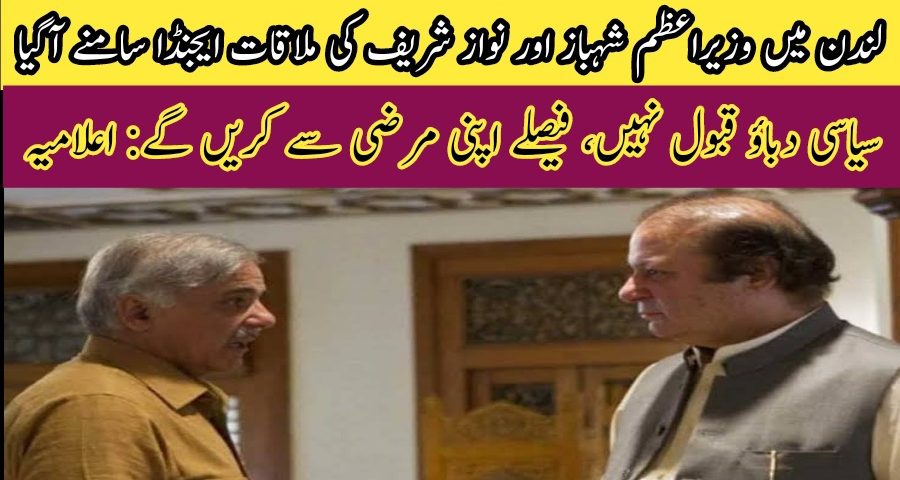 Shahbaz sharif meeting with Nawaz Sharif