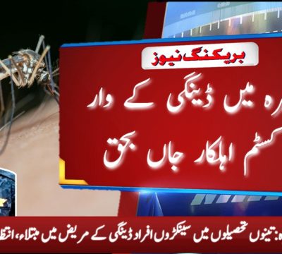 "Dengue fever outbreak in Pakistan affecting hundreds of people"